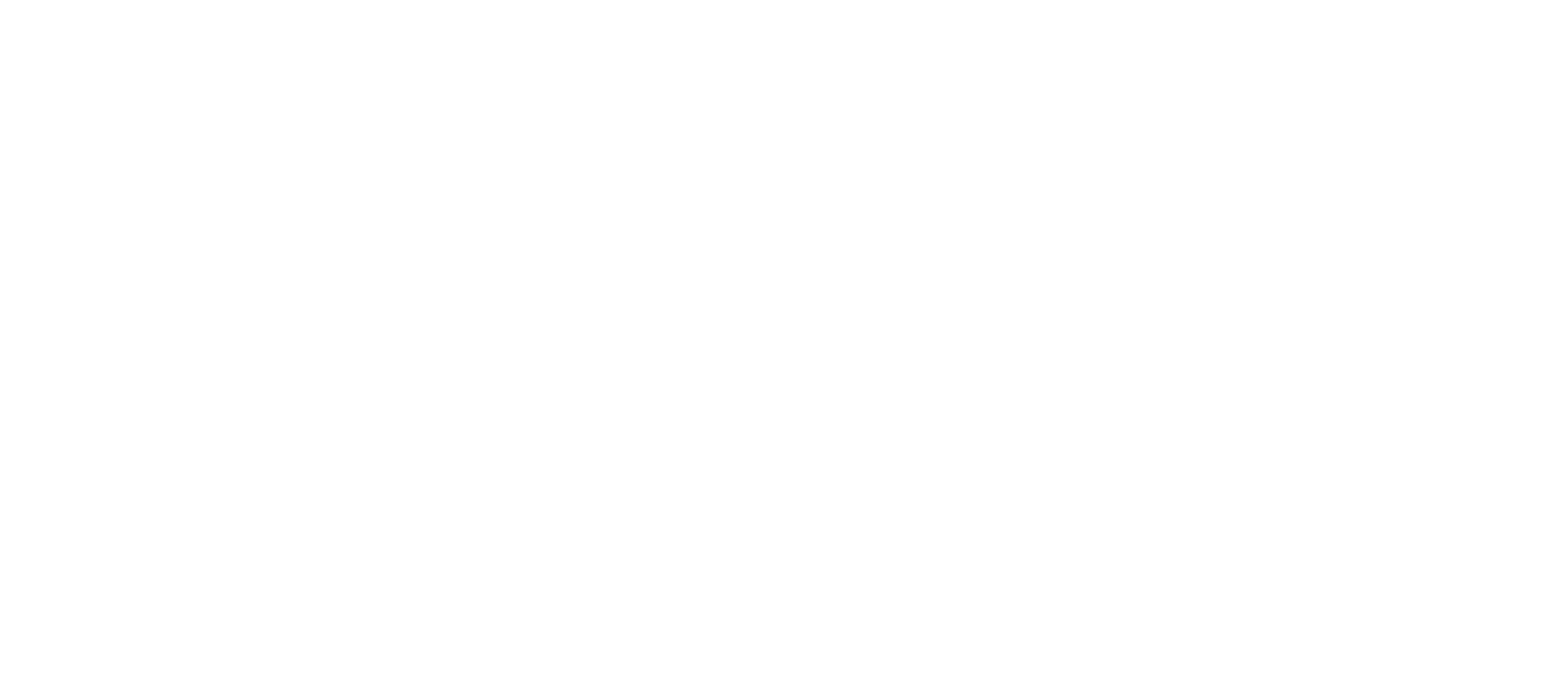 THE BOLDD