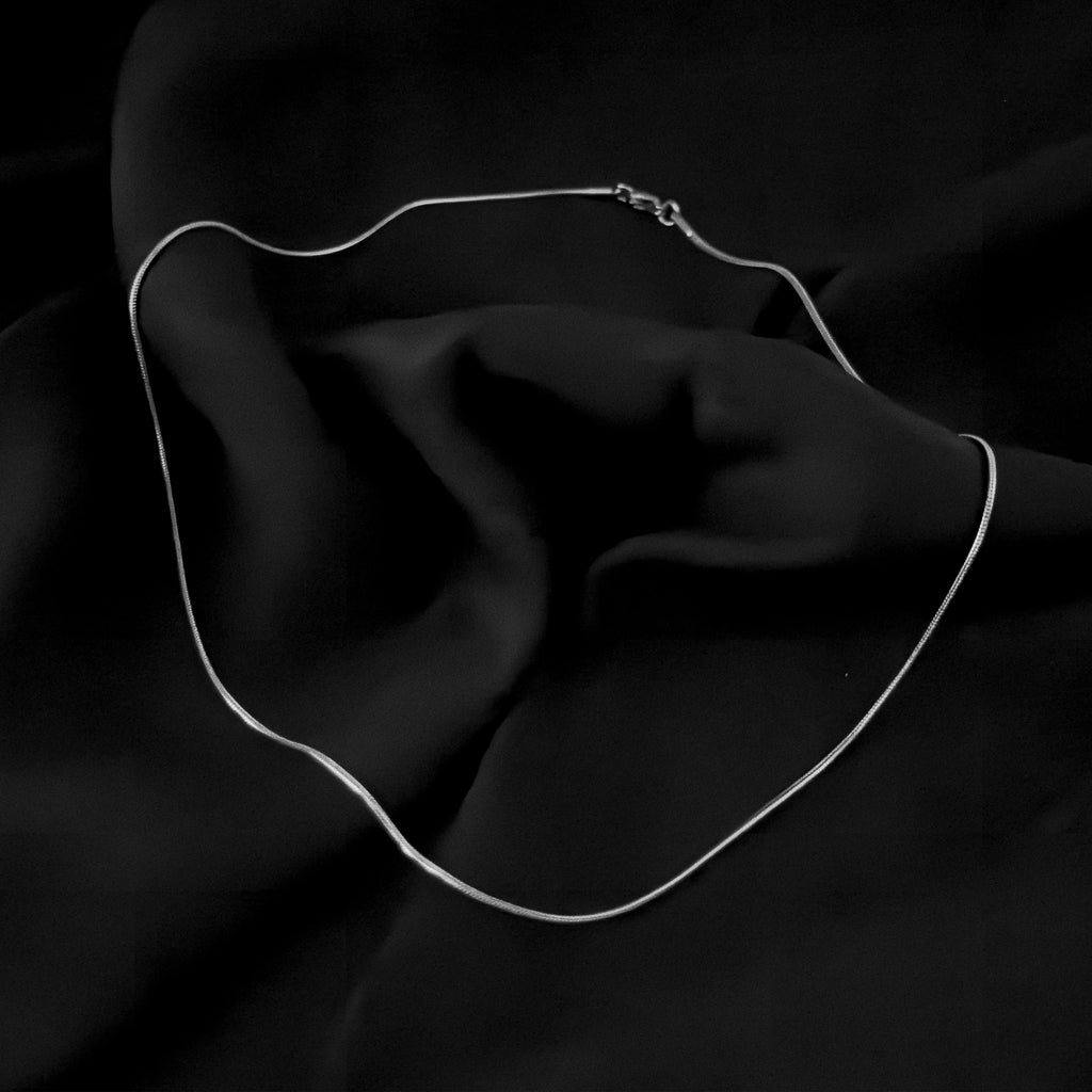 Thin Line Silver Chain Necklace