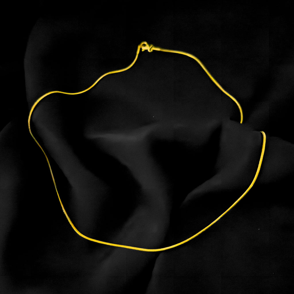 Thin Line Gold Chain Necklace