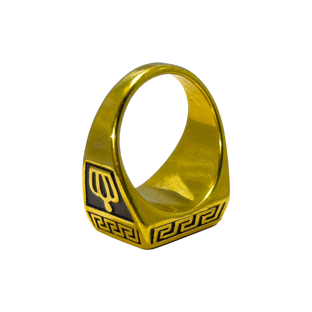 Royal Onyx Gold Ring