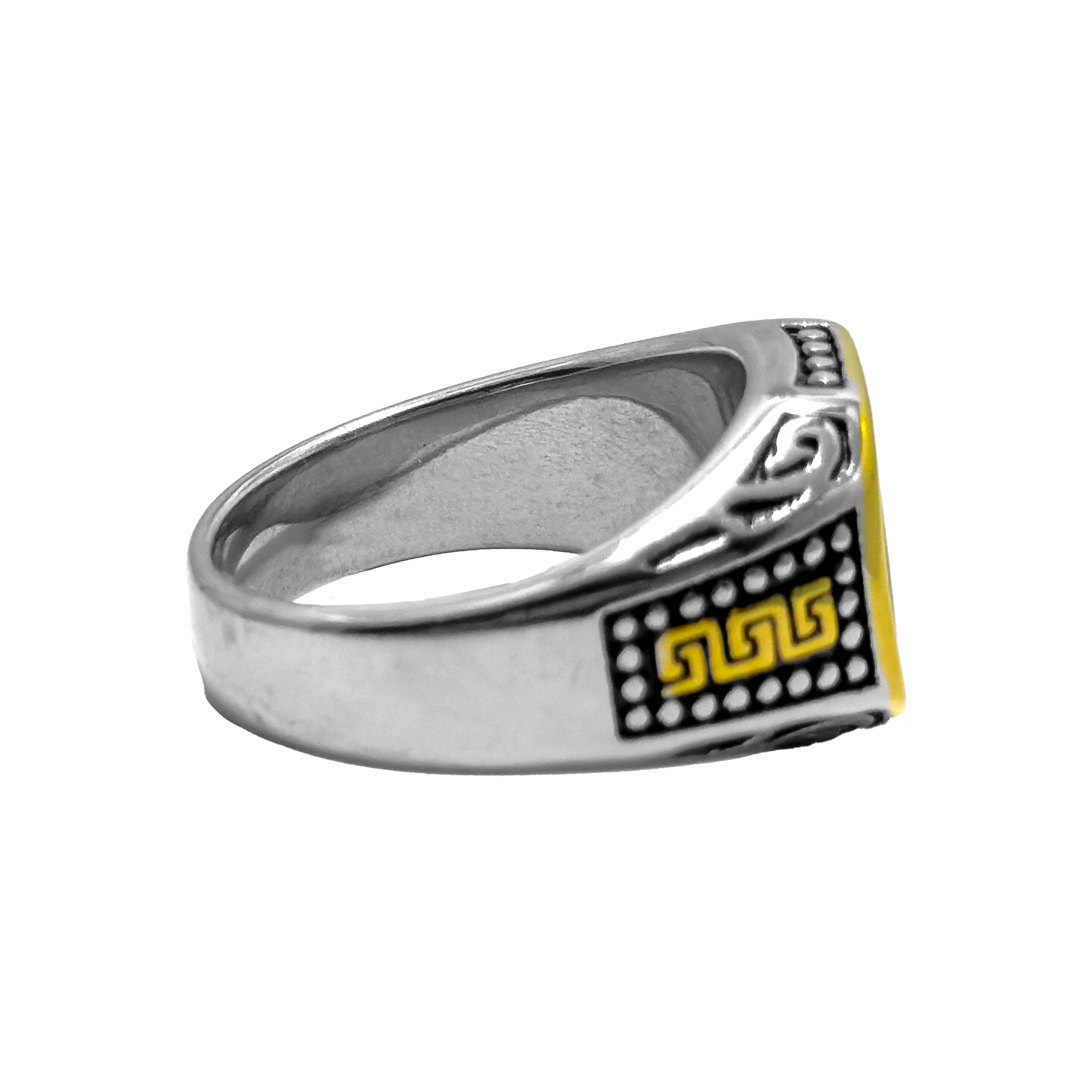 Shadow Bastion Silver & Gold Ring