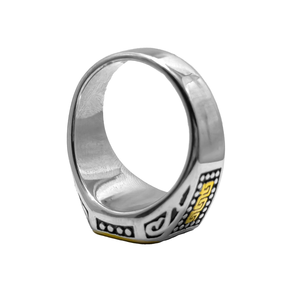 Shadow Bastion Silver & Gold Ring